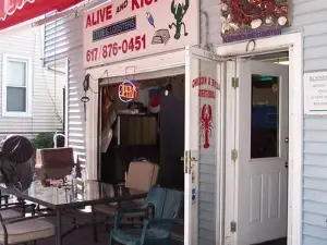 Alive & Kicking Lobsters
