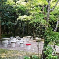 Kasuga Ninai Jyaya User Photo