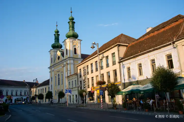 Targu Mures