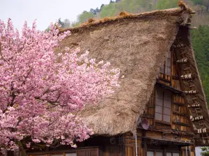 หมู่บ้านประวัติศาสตร์แห่งชิระงะวะโงและโกะกะยะมะ