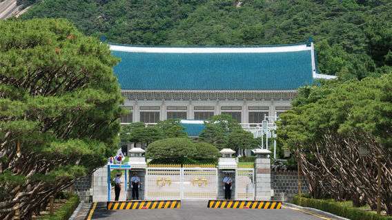 서울데이 투어