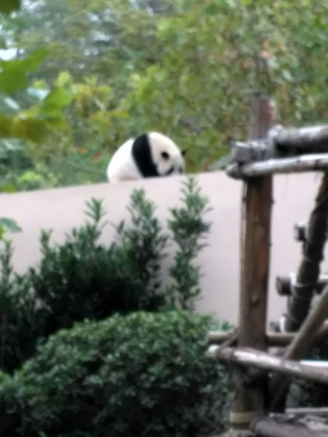 Qingdao Zoo