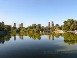 Popular Family-Friendly Attractions in Federal District