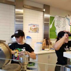 Cows Icecream User Photo