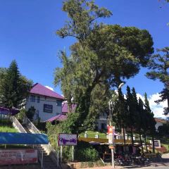 Thanh Thuy Blue Water Restaurant User Photo
