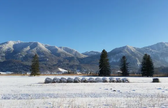 阿爾潘公園公寓式酒店
