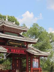 China Healthcare Danxi Cultural Park