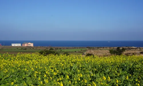 Yongduam Rock