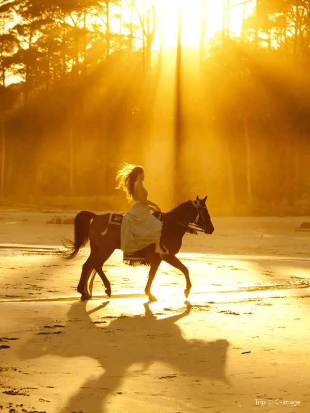 Horseback riding in Mauritius