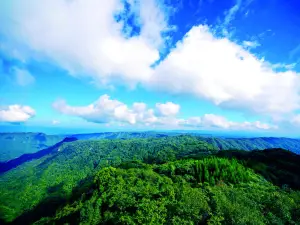 Dafengbao Scenic Area