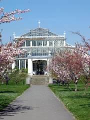 Real Jardín Botánico de Kew