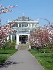 Royal Botanic Gardens di Kew