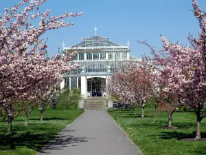 Royal Botanic Gardens di Kew