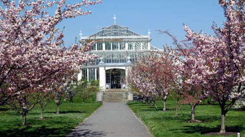 Royal Botanic Gardens, Kew