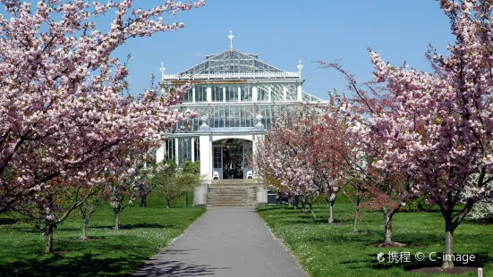 Royal Botanic Gardens di Kew