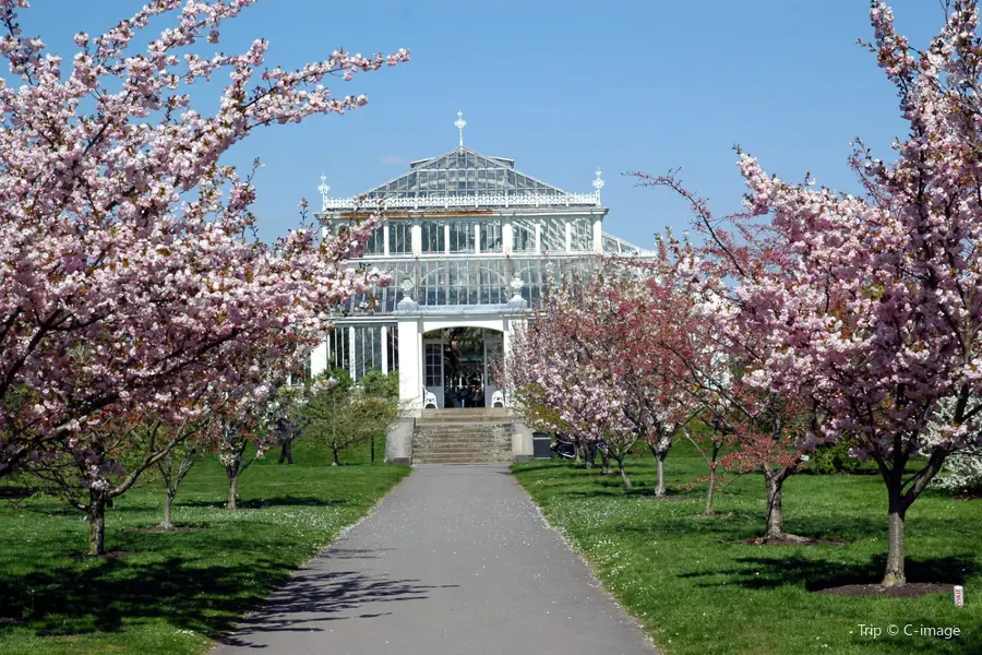 Royal Botanic Gardens, Kew