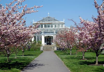Royal Botanic Gardens di Kew