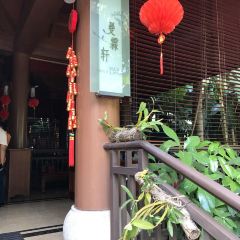 InterContinental Xishuangbanna Resort manlinxuanzhongzanting User Photo