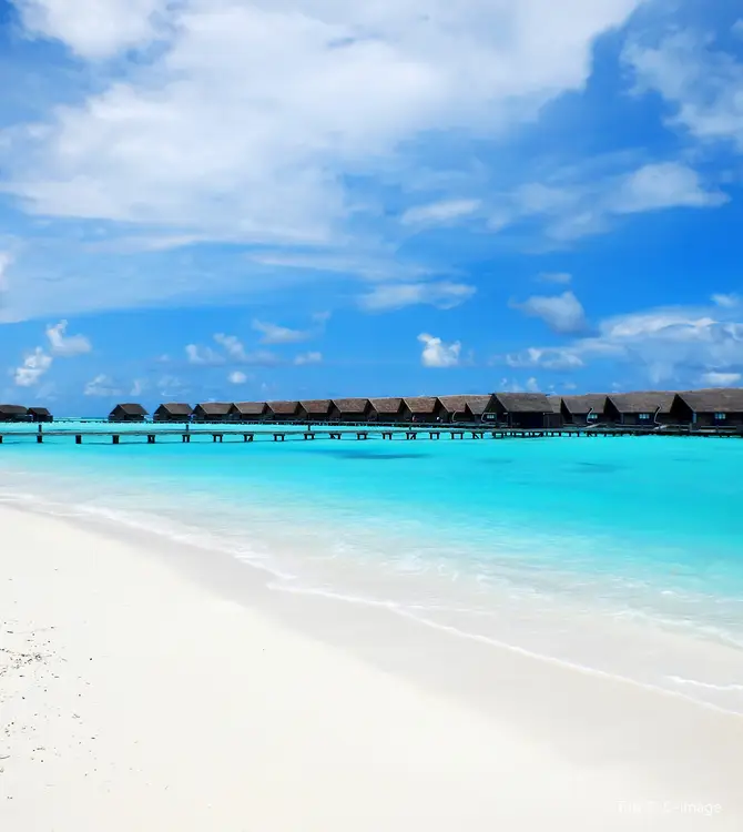 Makunufushi
