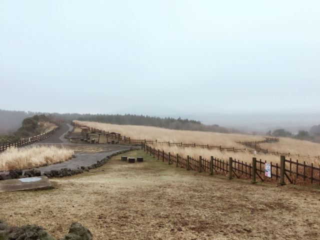 山君不離
