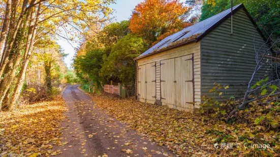 Mount Macedon