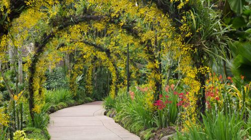 Botanical Garden