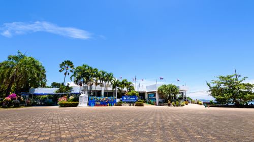 Phuket Aquarium