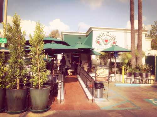 Urth Caffe Melrose