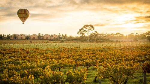 Barossa