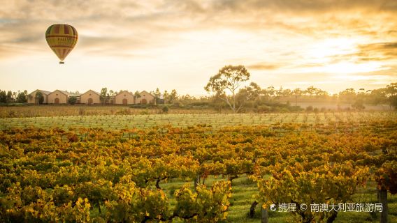 AdelaideTours
