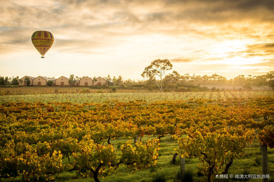 Barossa
