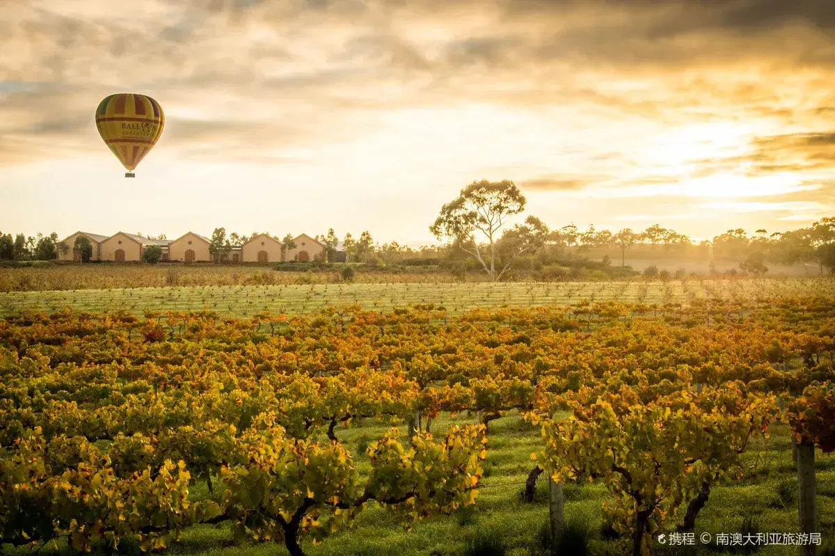Barossa