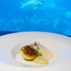 Ocean Restaurant User Photo