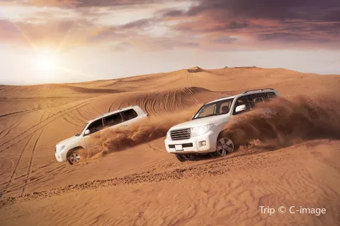 Desert Safari Camp