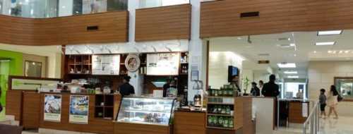 Honolulu Coffee Company