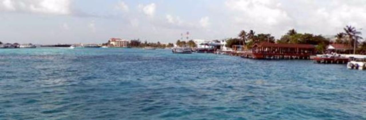 Floating bar & Safari