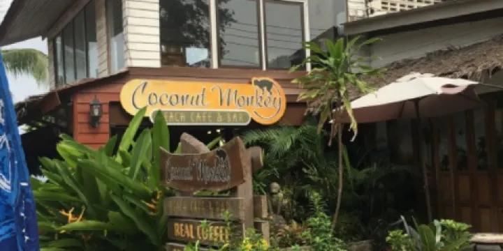 Coconut Monkey