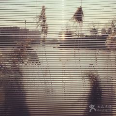 TIAN JIN WEI MA TOU User Photo