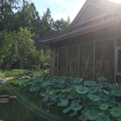 Zi Ｗei Hall User Photo