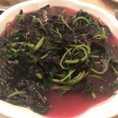 地派溫泉中餐廳張用戶圖片
