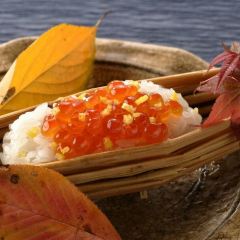 Sushi-sai WAKICHI User Photo