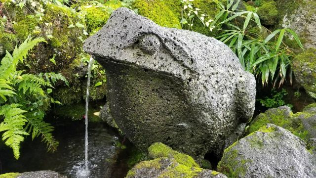 山君不離