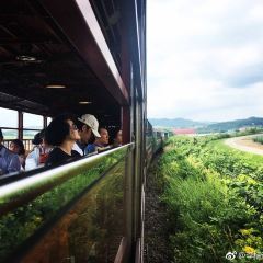 Kohi Morinotokei User Photo