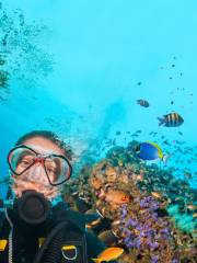 WaterColors Boracay Diving Adventures