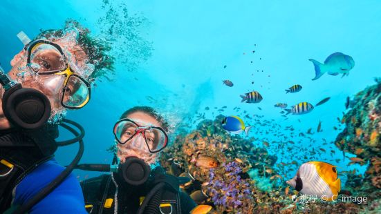 WaterColors Boracay Diving Adventures