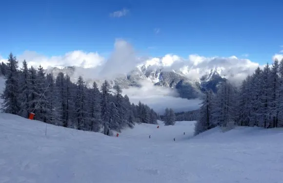 普萊因薩德佩西妮酒店