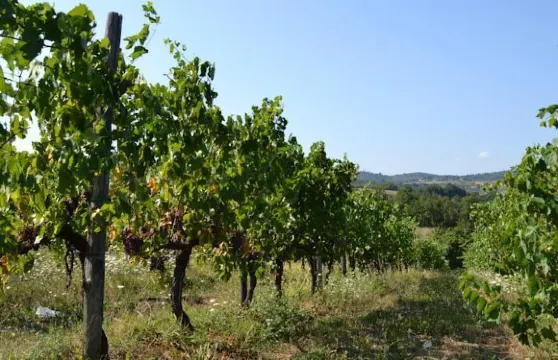 拉奎塞度假酒店