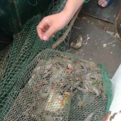 Sheng shan hai xian ting User Photo