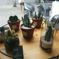 微态度炭火烤肉 User Photo