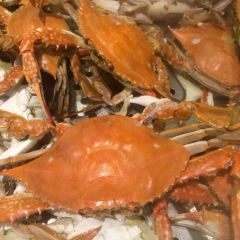 宝龙大锅海鲜(栈桥店) User Photo